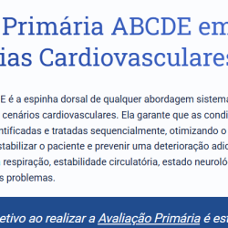 Captura de tela 2025-12-28 082742